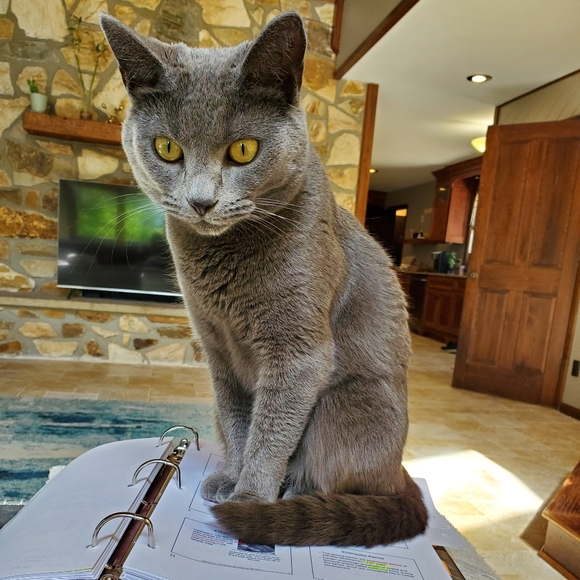 Meet your Posher, Stephanie - Picture 4 of 4